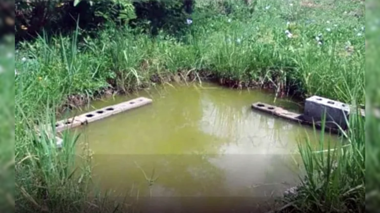 Muere niño tras caer en estanque