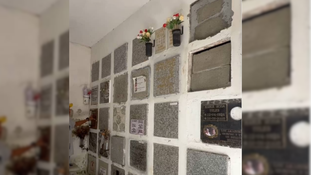 Limpian el cementerio de San Antonio