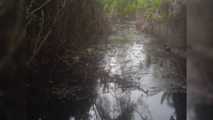 para fotos de la web (69)