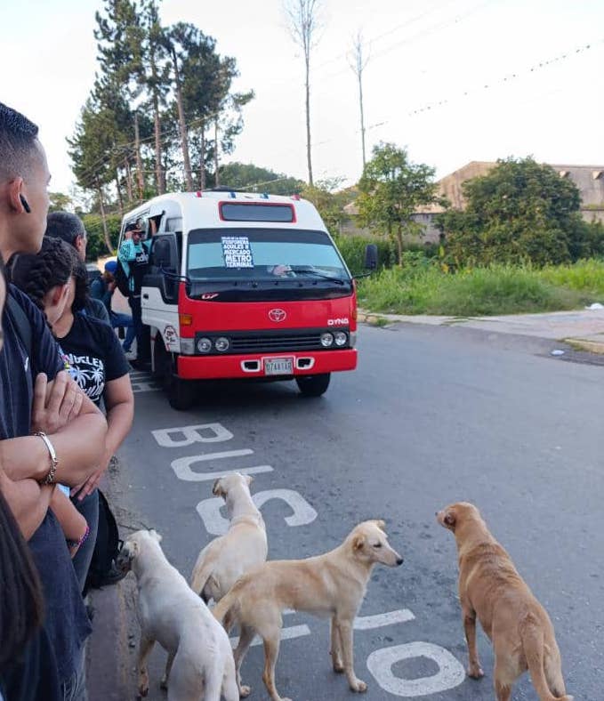 Autobusero arremete contra usuarios