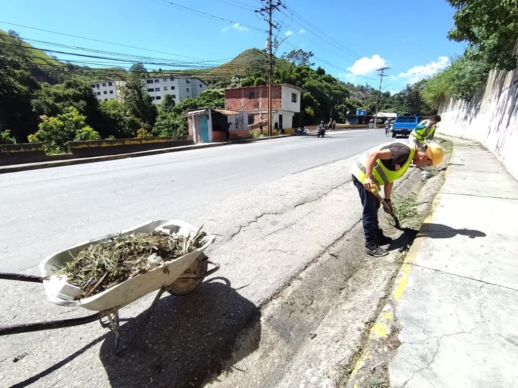 Inician desmalezamiento en la vía de San Pedro