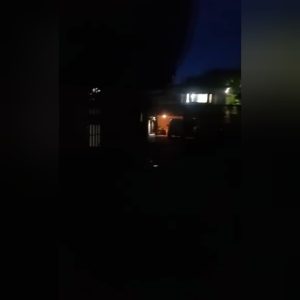 WhatsApp Image 2025-11-03 at 14.52.53