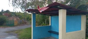 WhatsApp Image 2025-11-20 at 17.31.46