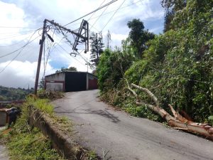 WhatsApp Image 2025-11-21 at 13.07.37