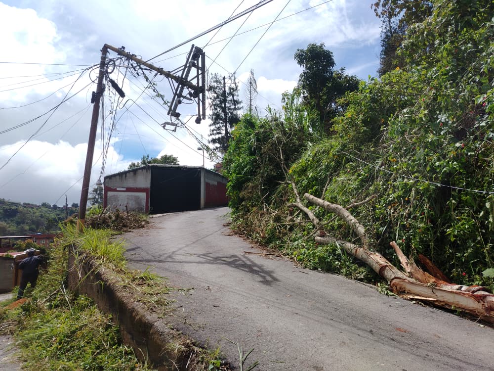 Remplazarán poste caído en Barrio Miranda