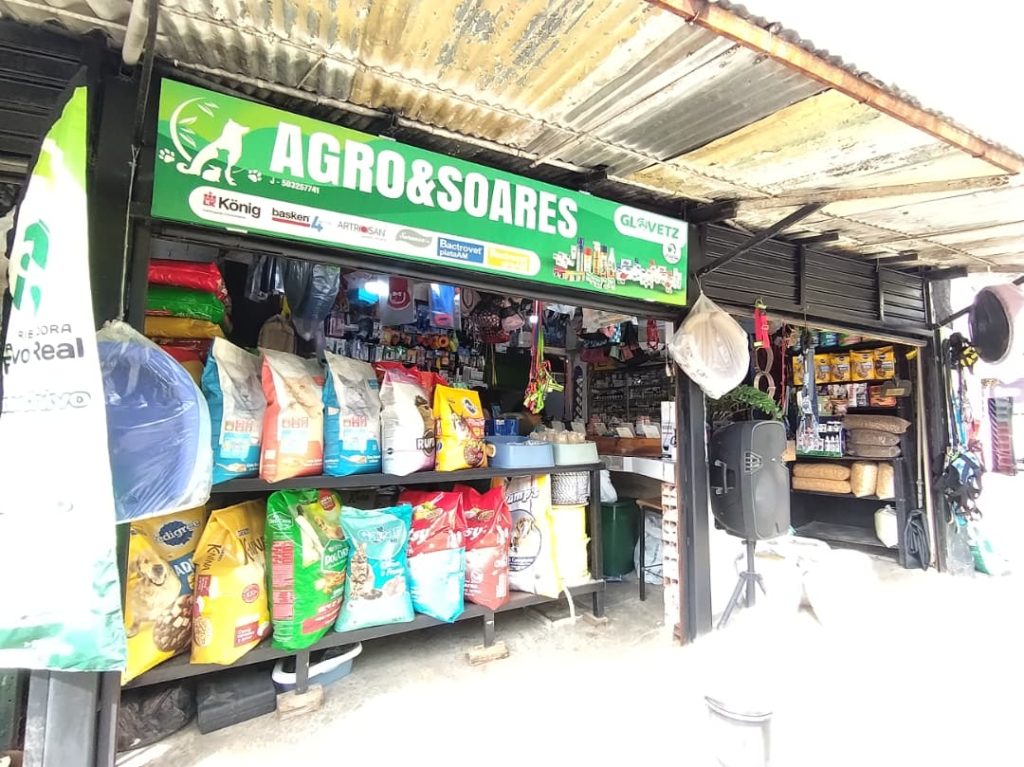 Prevén esterilizar 120 perros y gatos este 29-N