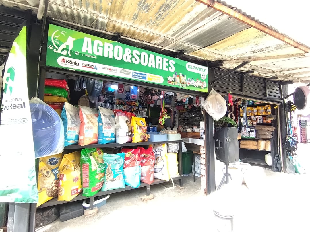 Prevén esterilizar 120 perros y gatos este 29-N