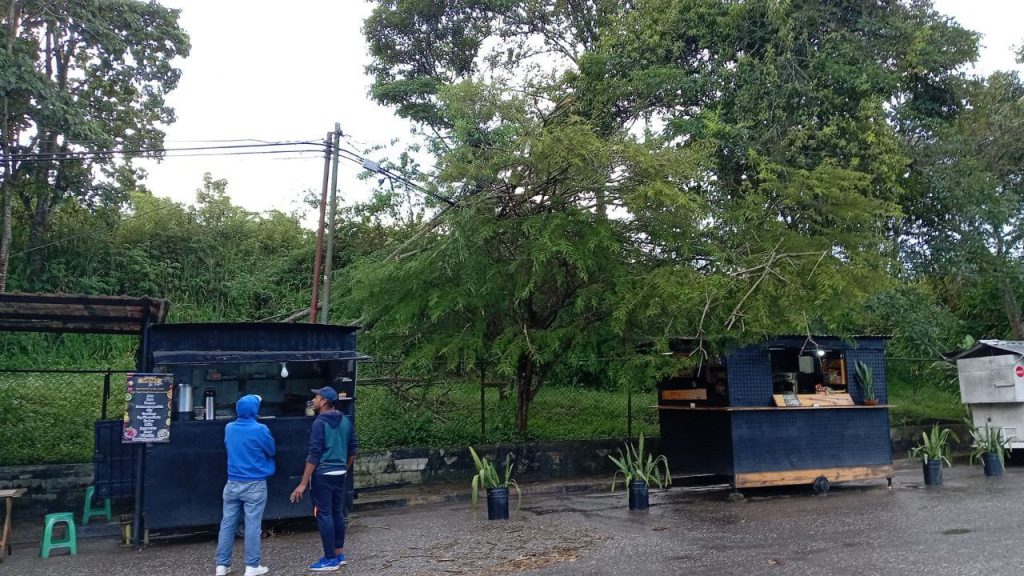 Se cayó árbol y causó destrozos en El Paso 