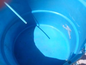 photo_4954238230865840958_y