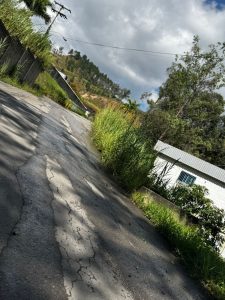 photo_4967730922165832518_y