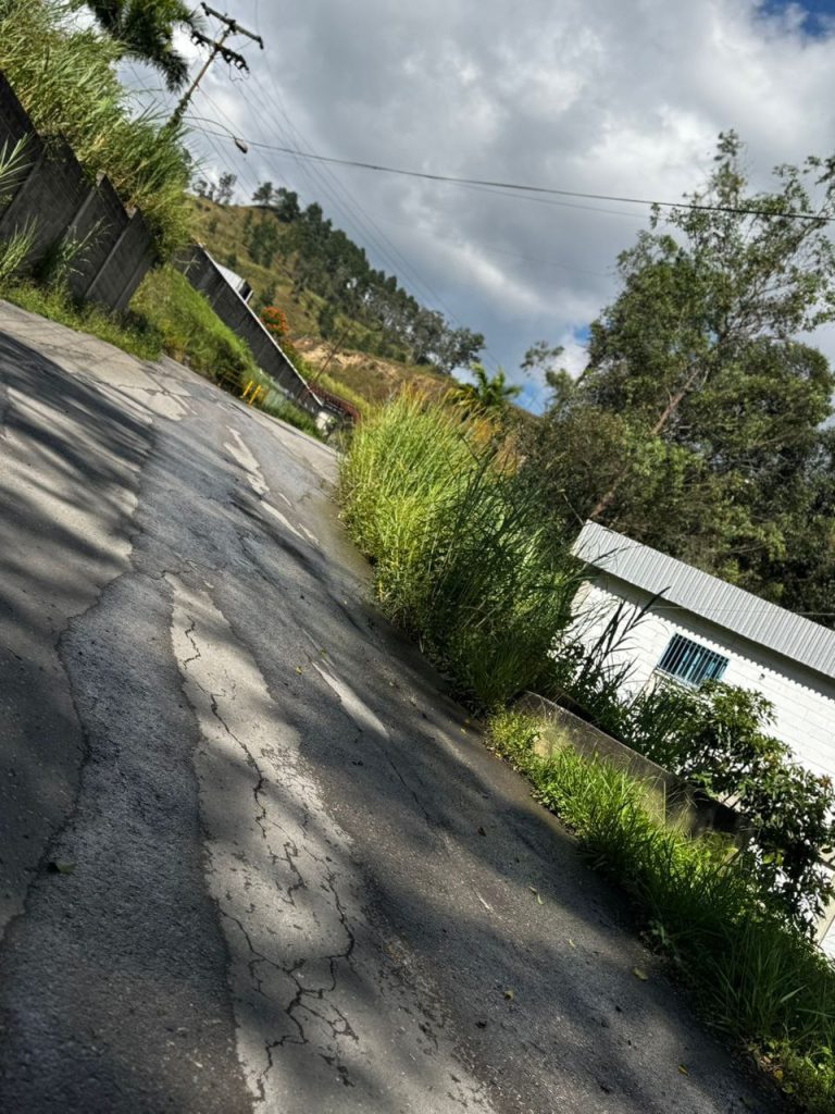 Daños por bote de aguas en la Zona Industrial II