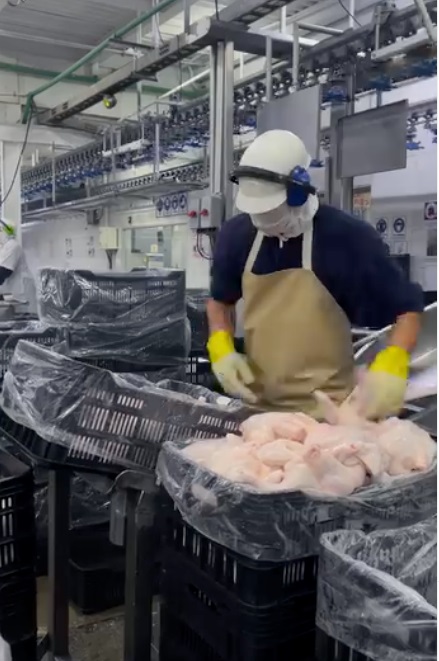 Superpollo le apuesta a la inversión tecnológica