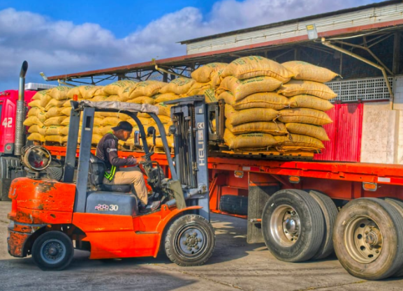 Café venezolano se consolida en Italia