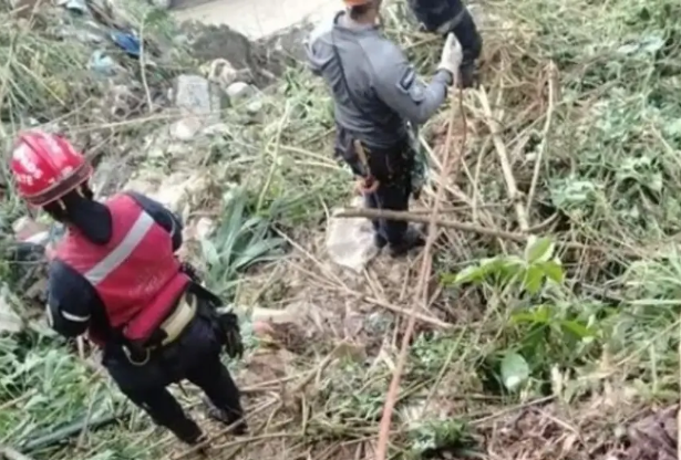 Localizan cadáver de una mujer en una zona boscosa