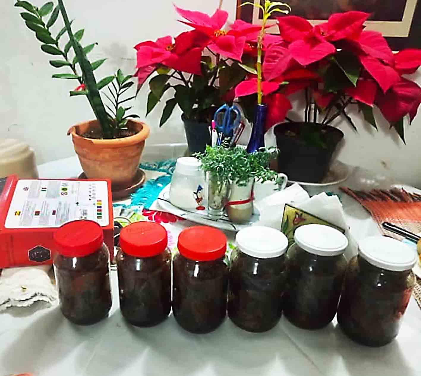 Emprendedores impulsan venta de dulces tradicionales