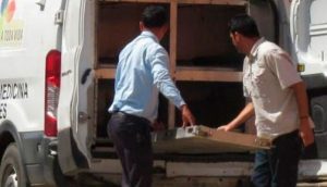 Encuentran-el-cadaver