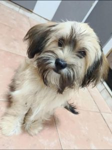 Imagen de WhatsApp 2025-12-07 a las 20.28.30_2ce218b9