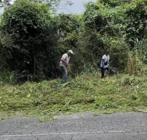 Imagen de WhatsApp 2025-12-09 a las 17.18.08_b3c05149