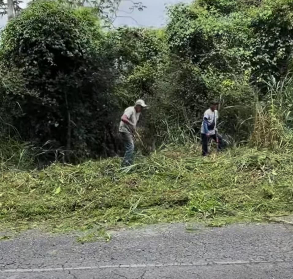 Laya: En 100 días dejamos Los Salias libre de maleza