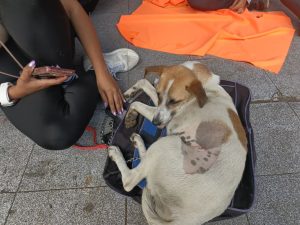 WhatsApp Image 2025-12-02 at 13.16.45