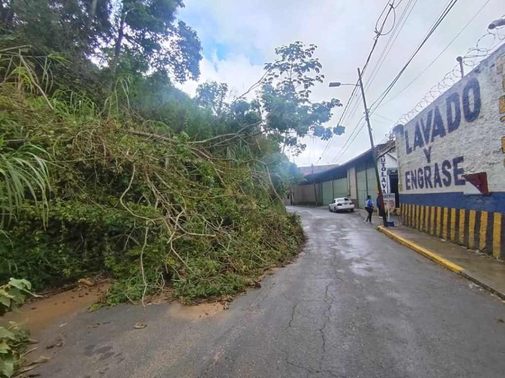 Deslizamiento de terreno obstruye el paso en Camatagua