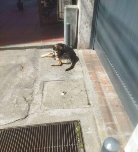 WhatsApp Image 2025-12-06 at 17.07.54