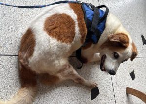 WhatsApp Image 2025-12-14 at 21.34.54