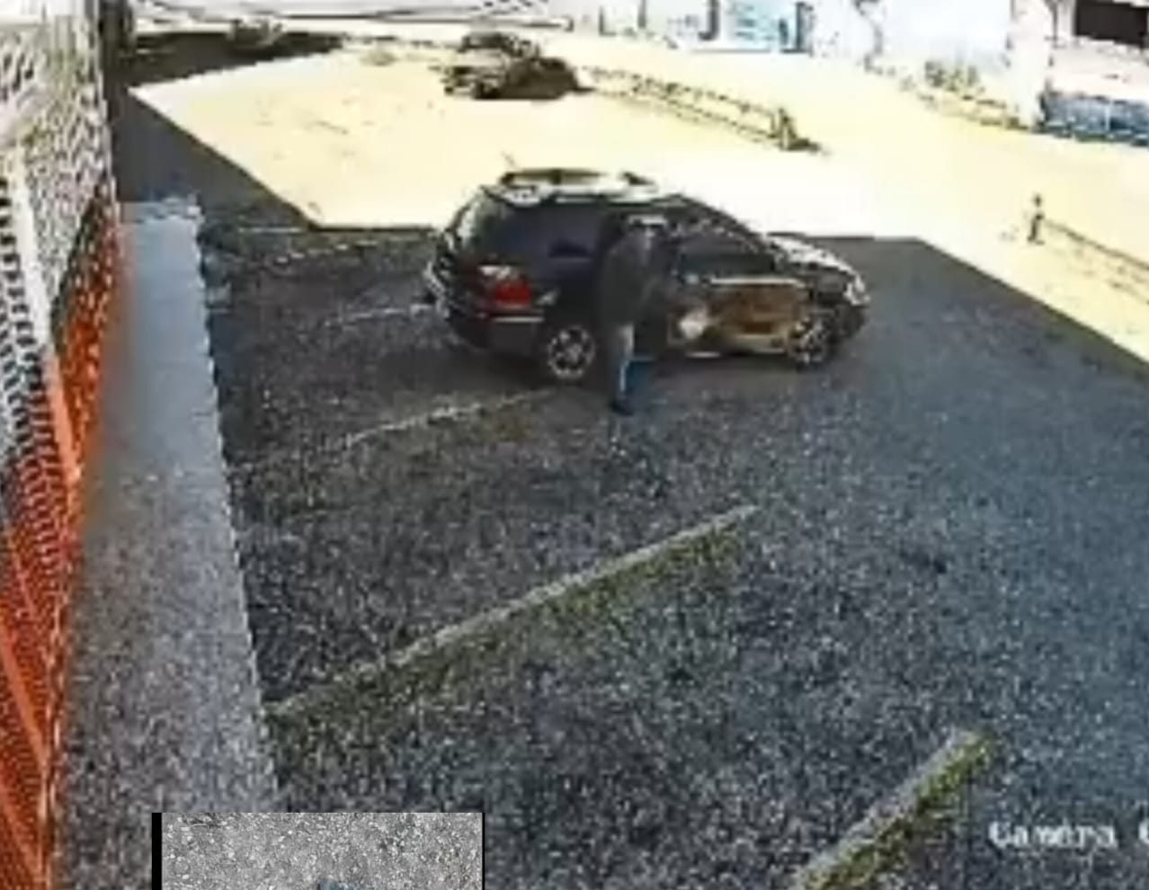 Comerciantes denuncian a hombre por envenenar 40 palomas