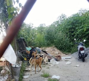 WhatsApp Image 2025-12-17 at 9.11.27 AM