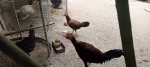 WhatsApp Image 2025-12-20 at 12.36.21