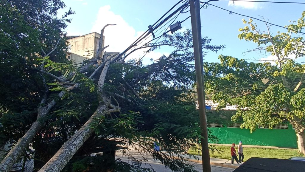 Cables irrumpen el paso en la urbanización Cecilio Acosta