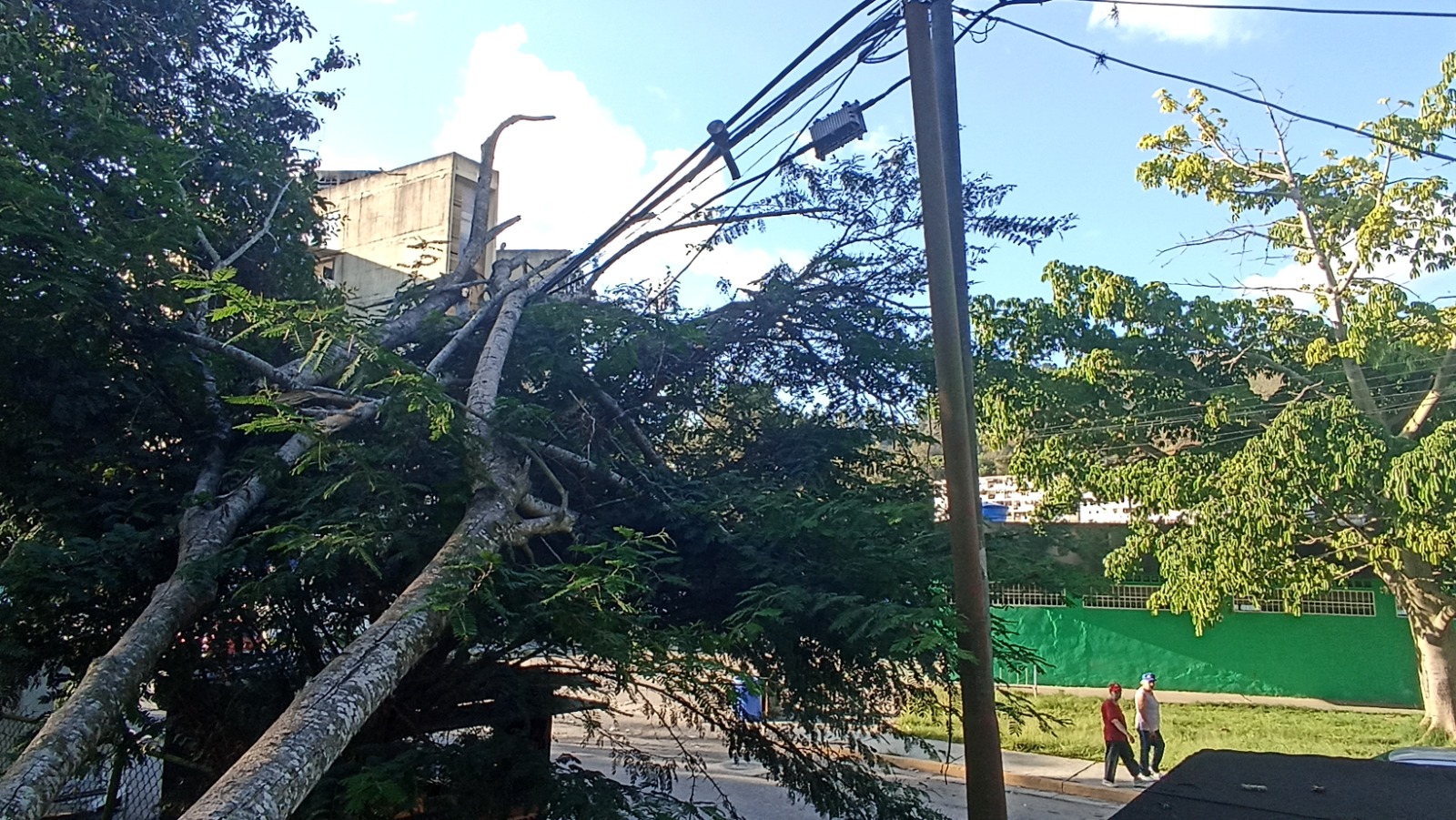 Cables irrumpen el paso en la urbanización Cecilio Acosta