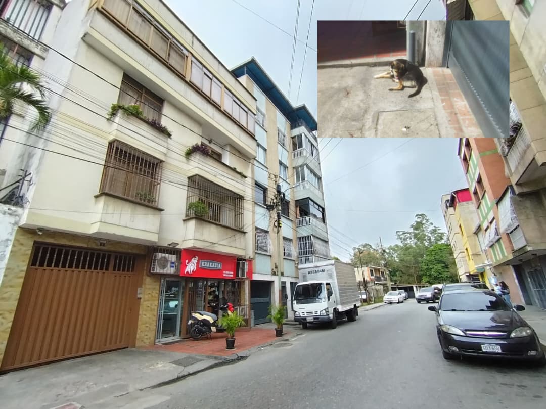 Perro rabioso atacó a mujer de la tercera edad