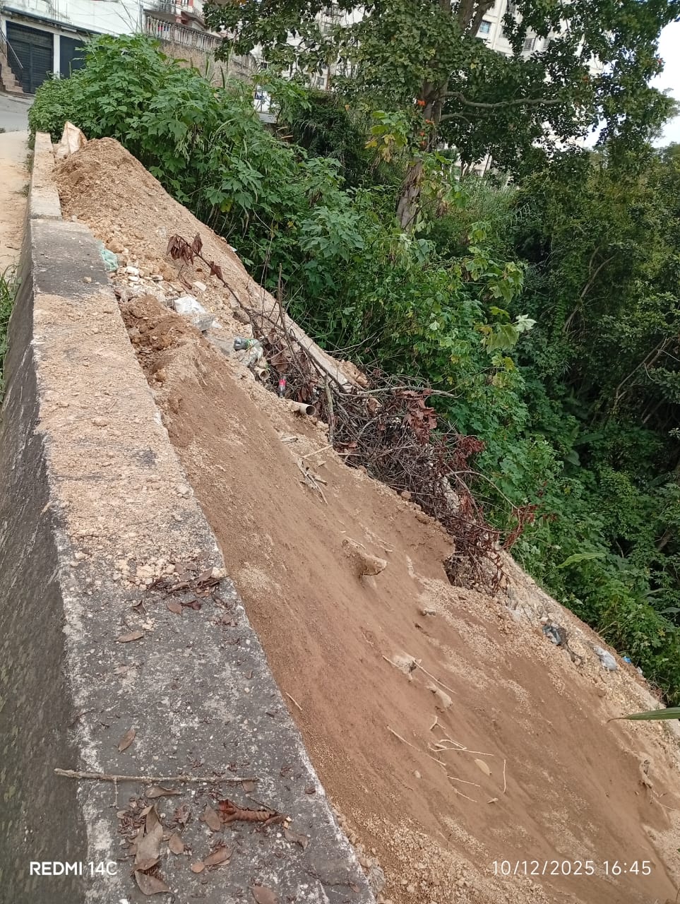 Vecino propicia contaminación ambiental en La Mata