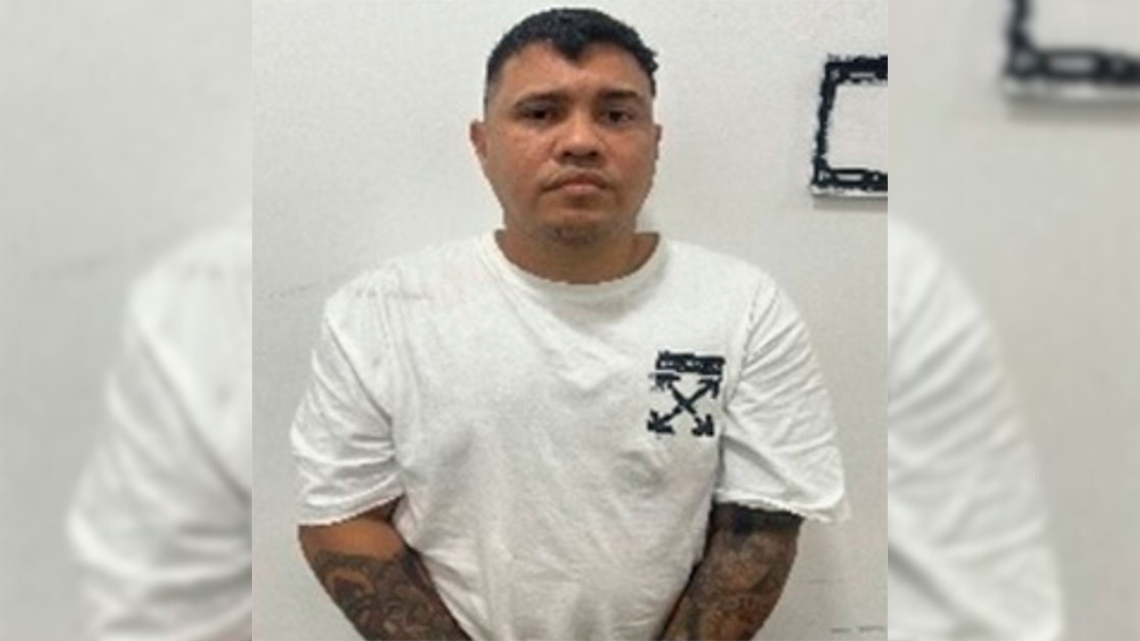 Capturan a ciberdelincuente