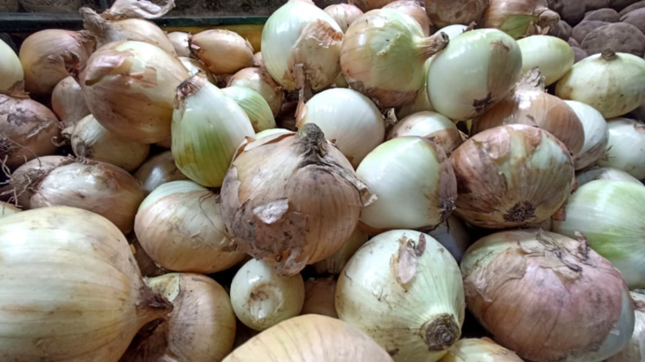 Precio de cebolla “asusta” al consumidor