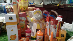 para fotos de la web - 2025-12-14T184420.939