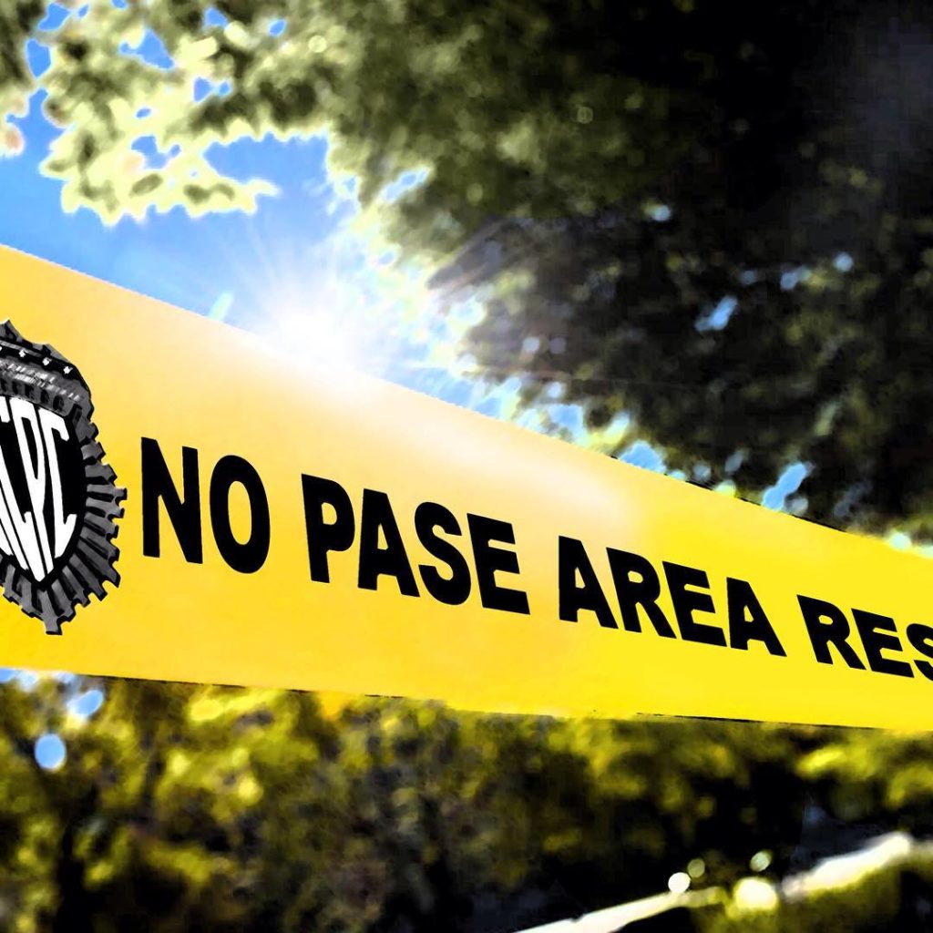 Delcy Rodríguez: Hoy tenemos tres homicidios por cada 100 mil habitantes