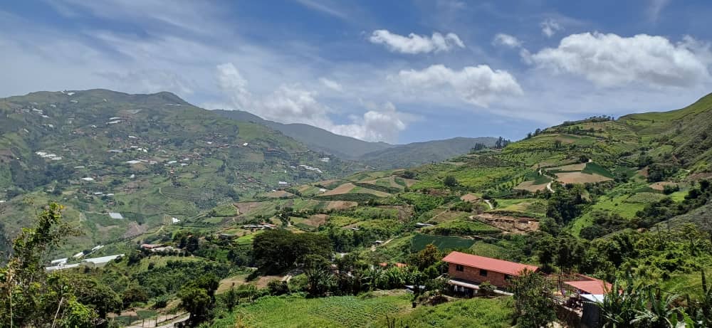 Campesinos jarilleros: “Queremos que ya no nos estafen”