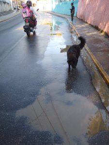 Imagen de WhatsApp 2025-12-10 a las 08.39.02_888596a9