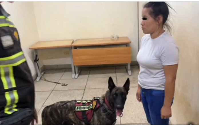 Presas por intentar ingresar cocaína a un penal