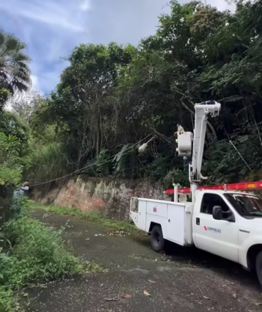 Corpoelec recoge cables y postes caídos en Potrerito