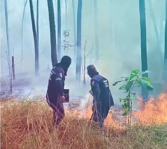 Incendio cumple dos días en cerro El Café