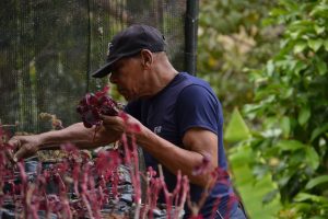 f91d37af-5872-4a73-8cc3-f234d2b8ed1f