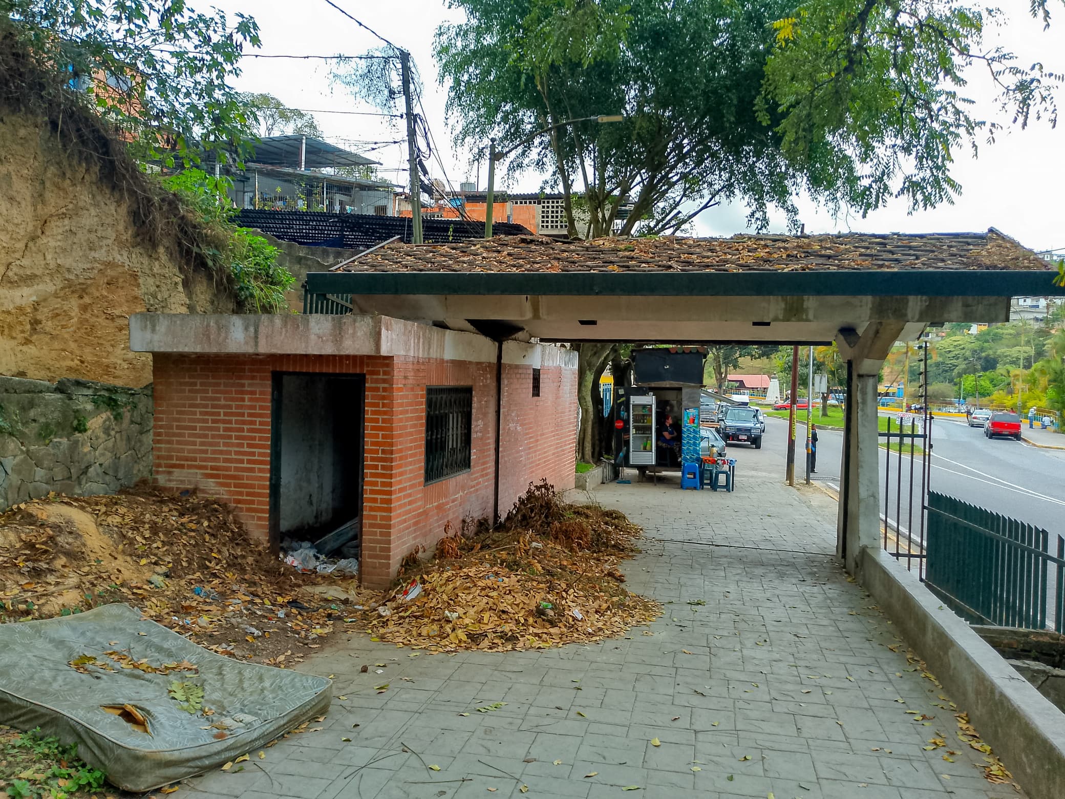 Indigentes ocupan vagones del histórico Tren El Encanto 