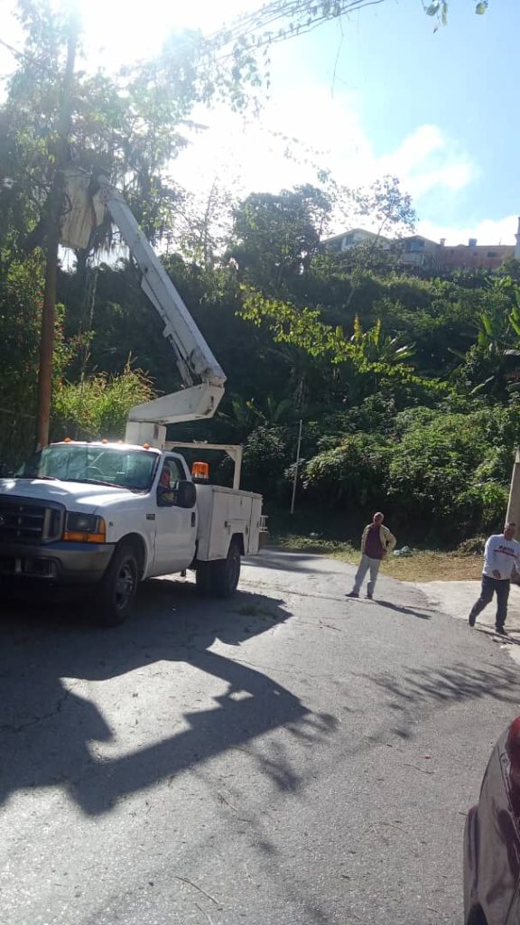 Sustituyen 16 luminarias en El Trigo