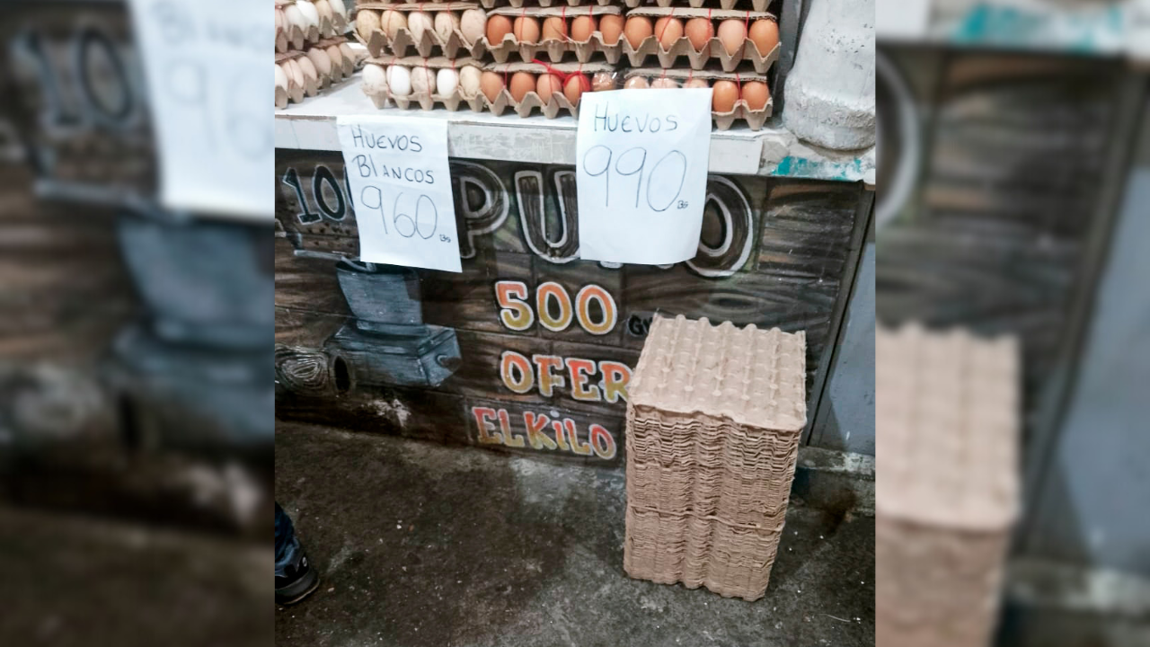 Comienza a descender costo del cartón de huevos