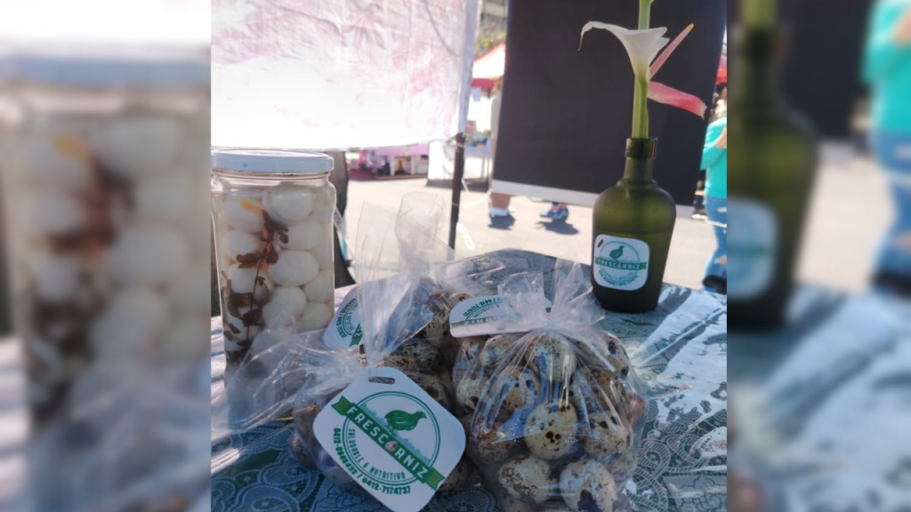 Hermanas impulsan emprendimiento con cría de codornices y huevos gourmet