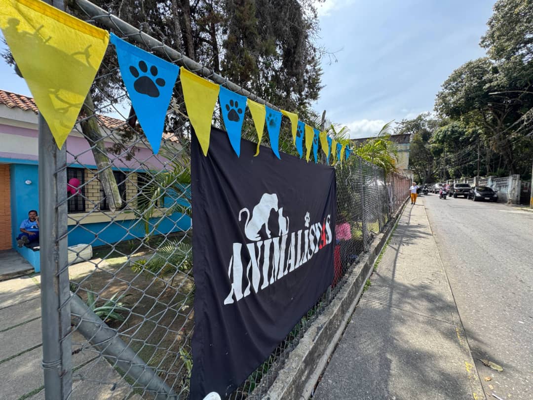 Tres días a la semana funcionará centro veterinario