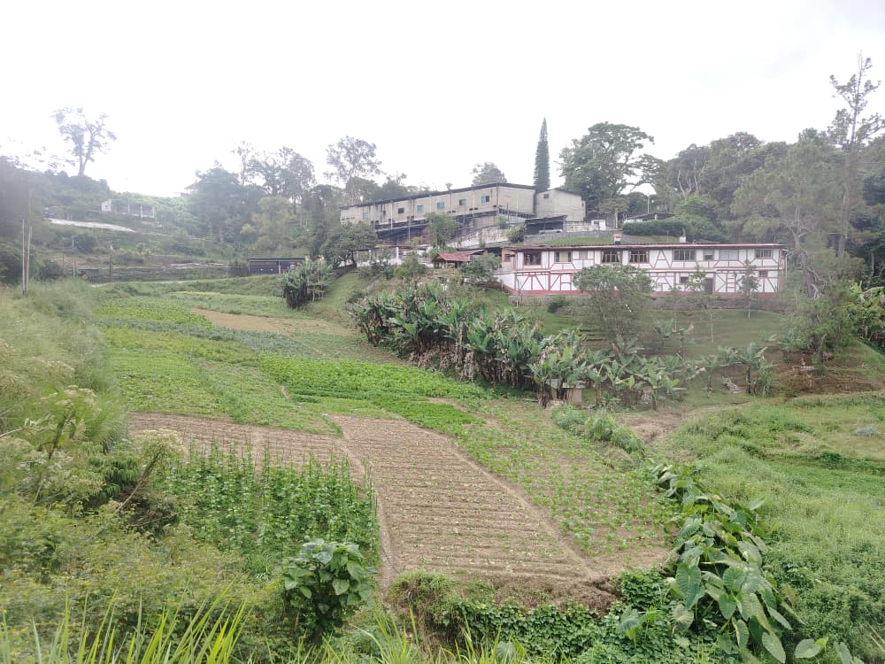 San Diego no pierde su esencia y atractivo turístico